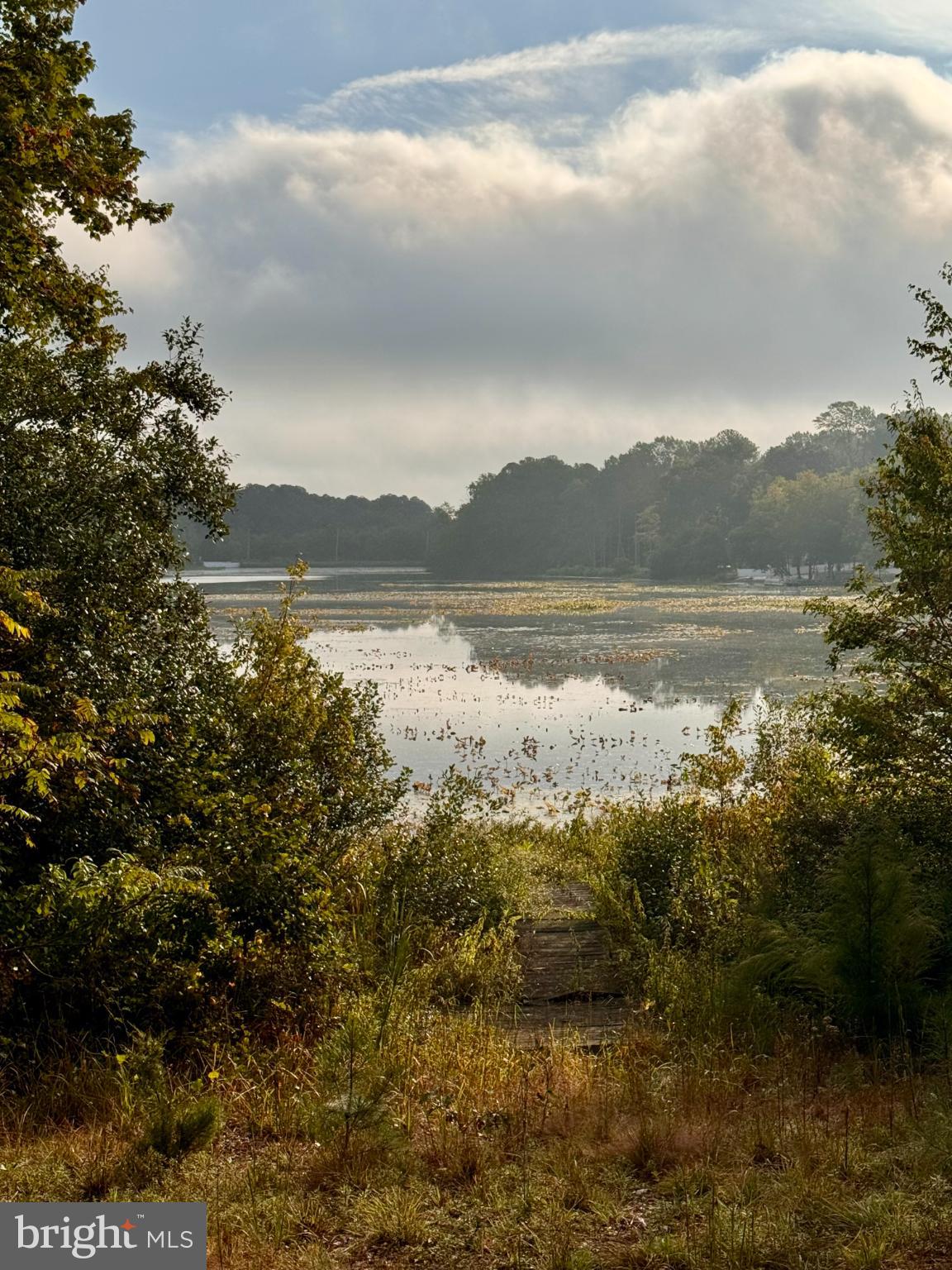 SERENITY AT CUBBAGE POND - Land