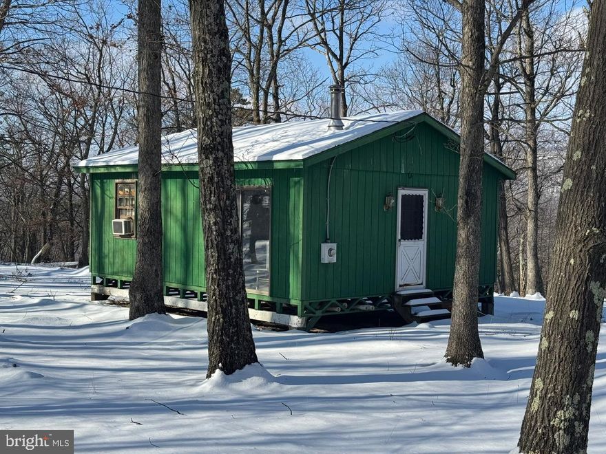 This lush, wooded lot is made up of over 10 acres. You'll have the privacy and seclusion you could want. There is 1 bedroom cabin on the lot. It does have a well, but no septic presently. This is the getaway you've been looking for. Call for your showing today!