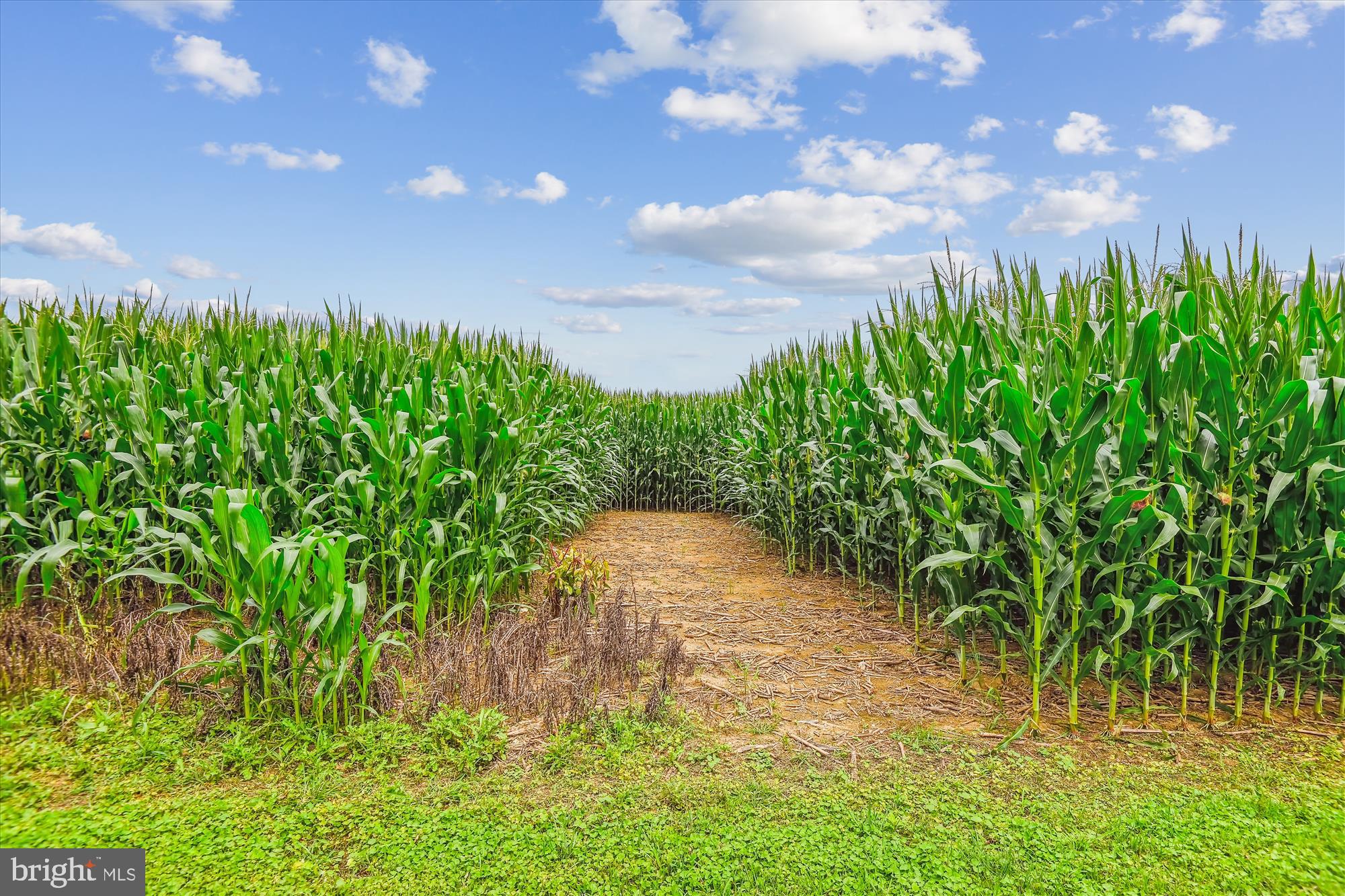 MANCHESTER ELECTION DISTRICT - Residential