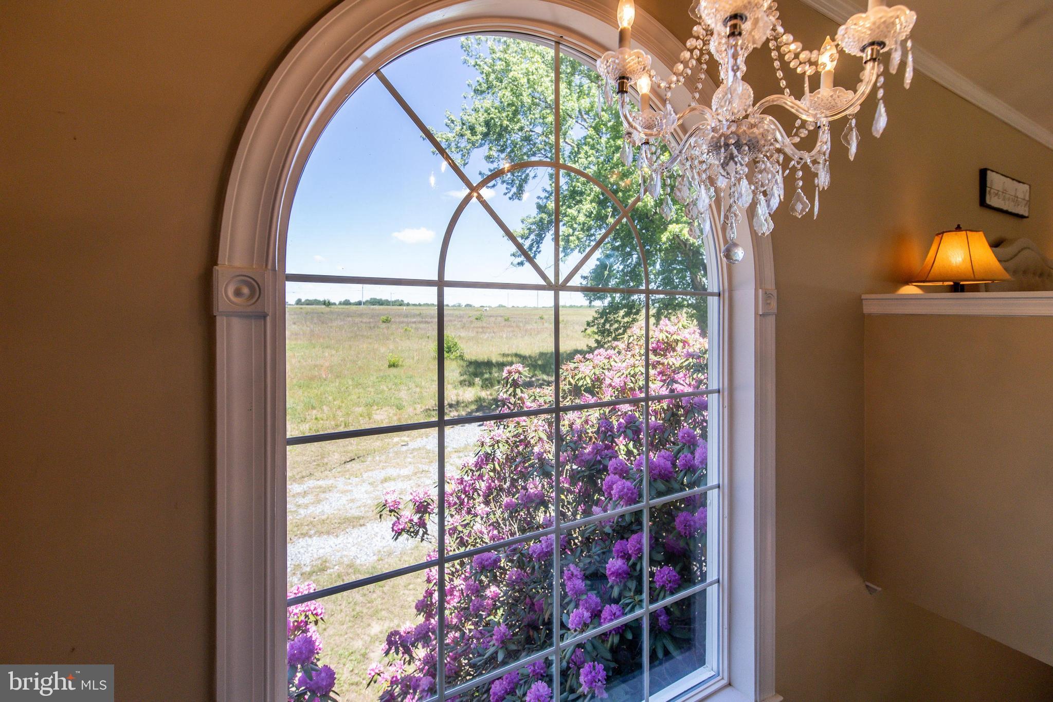 CHOPTANK RIVER - Residential