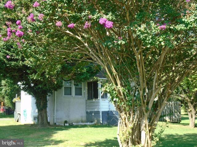 PADGENTS CORNER - Residential