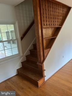 HOOT N HOLLOW - Residential Lease