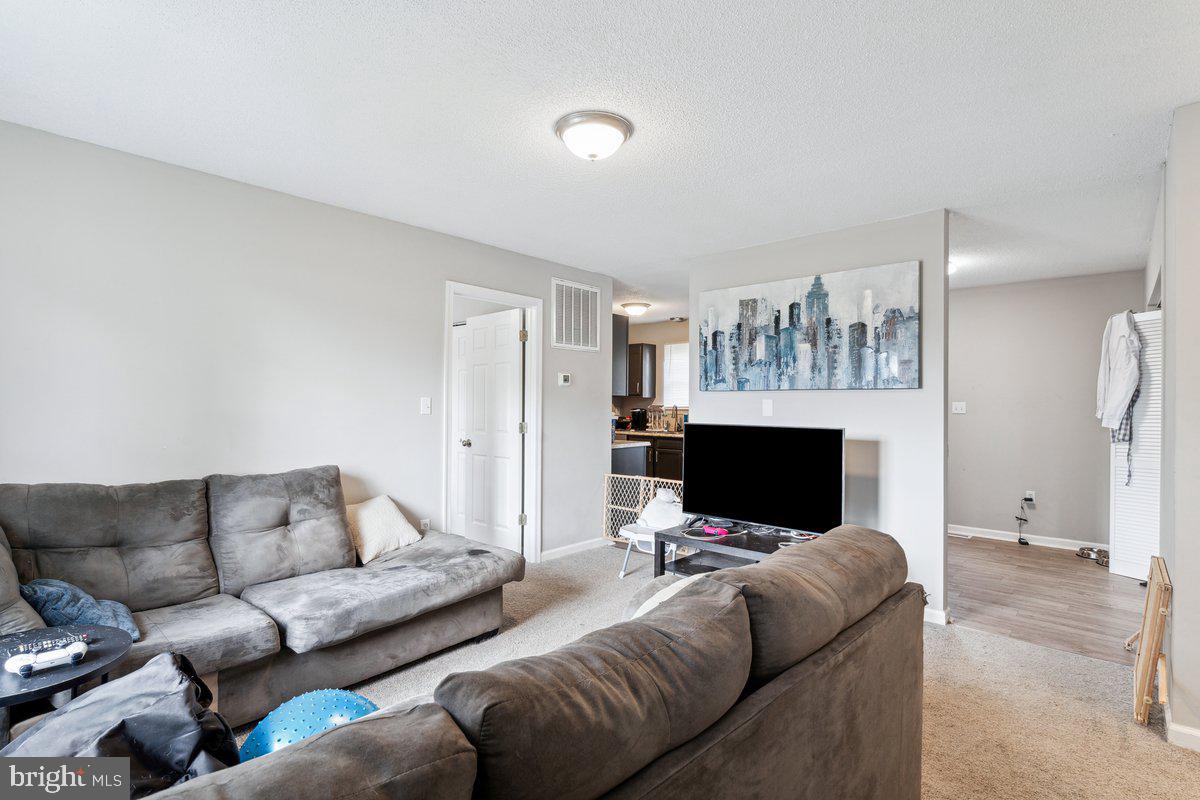 SPRINGFIELD VILLAGE - Residential