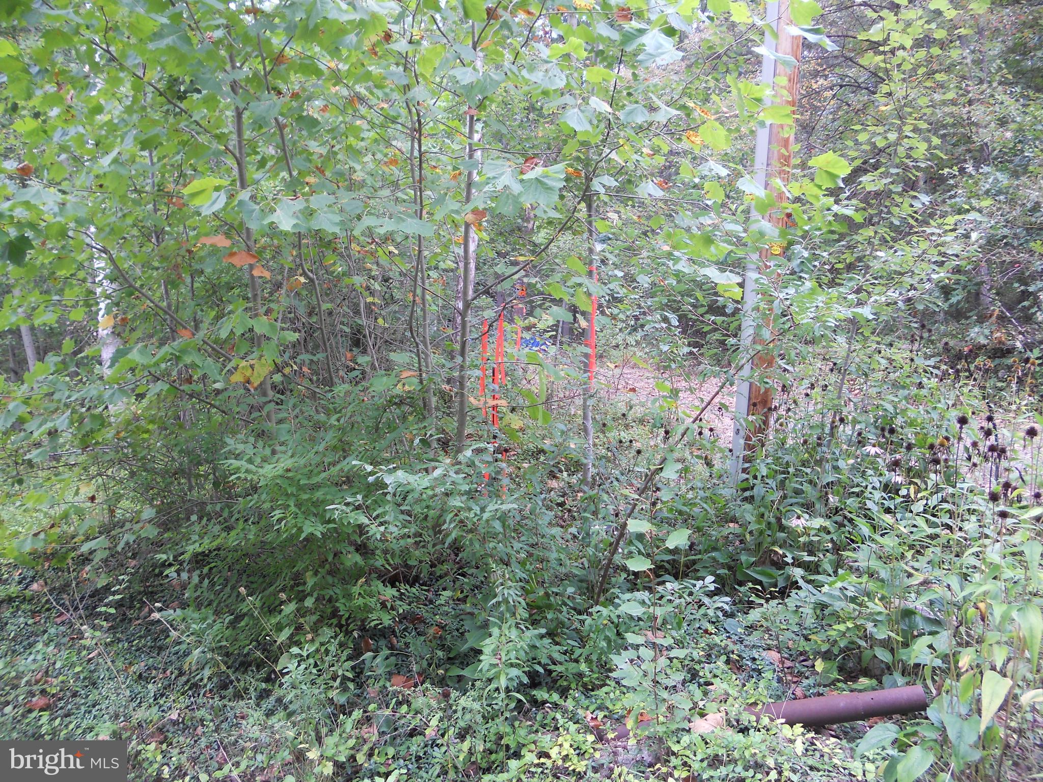 PAGE VALLEY ESTATES - Land