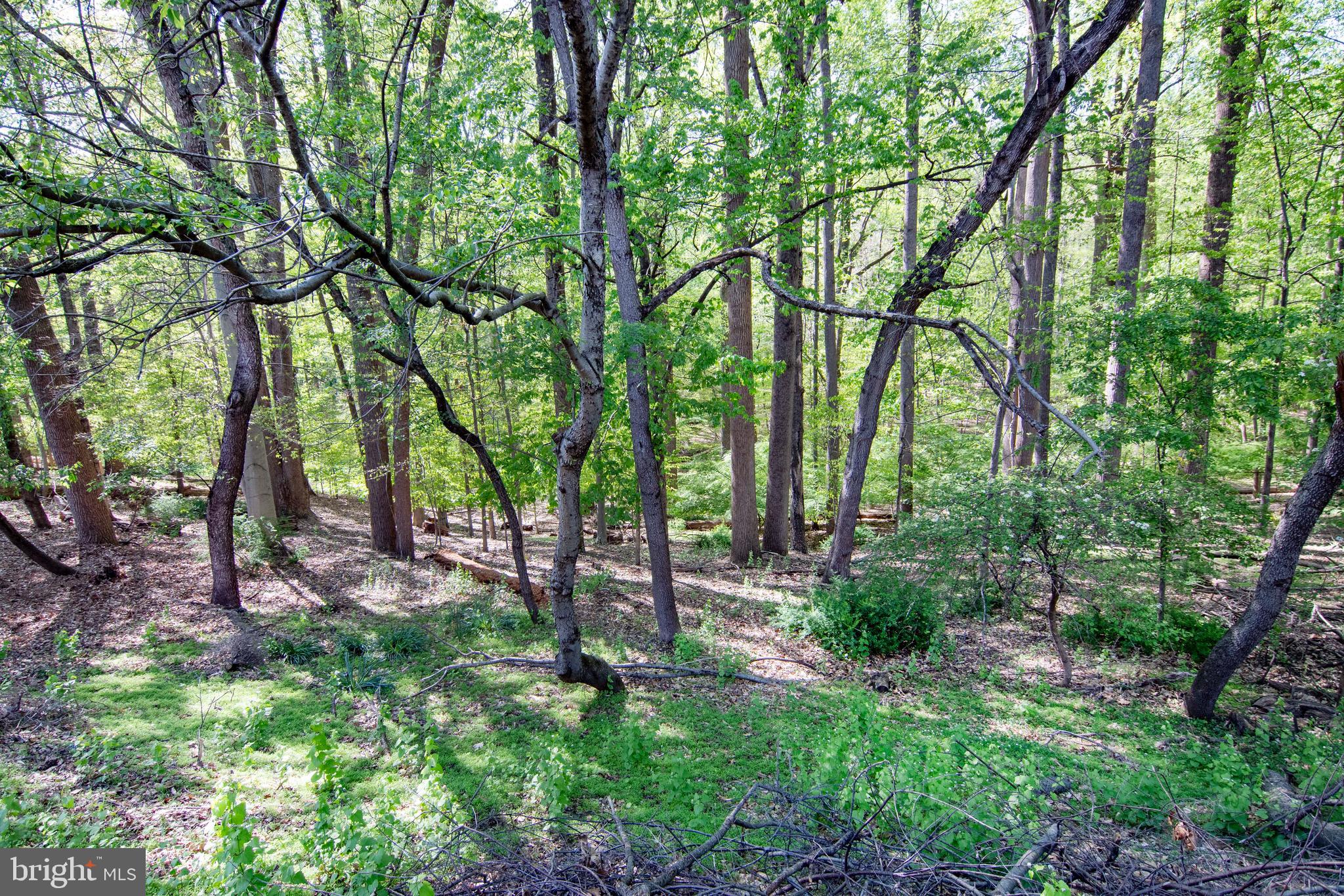 WELLINGTON VALLEY - Residential