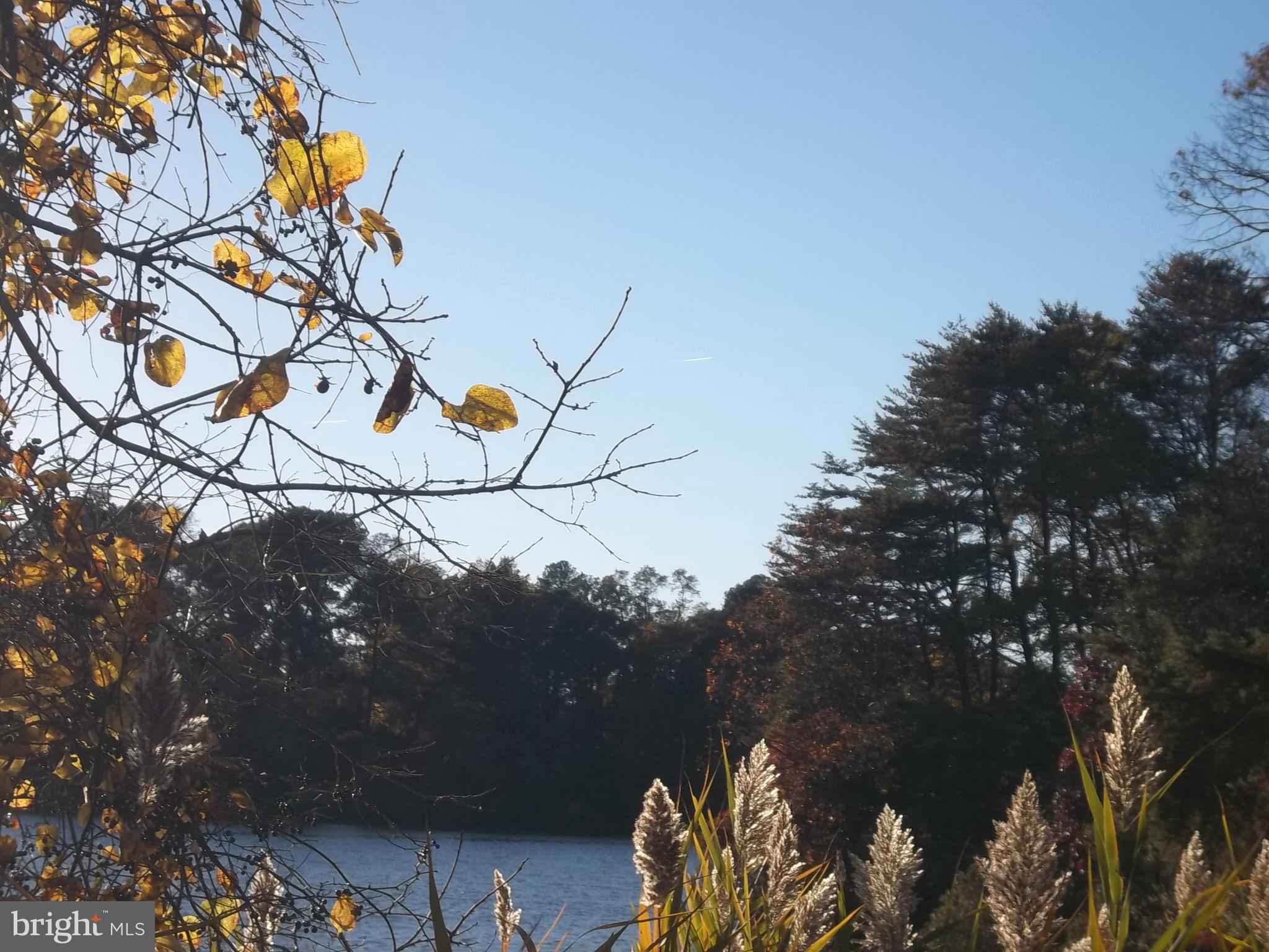 DRUM POINT - Residential