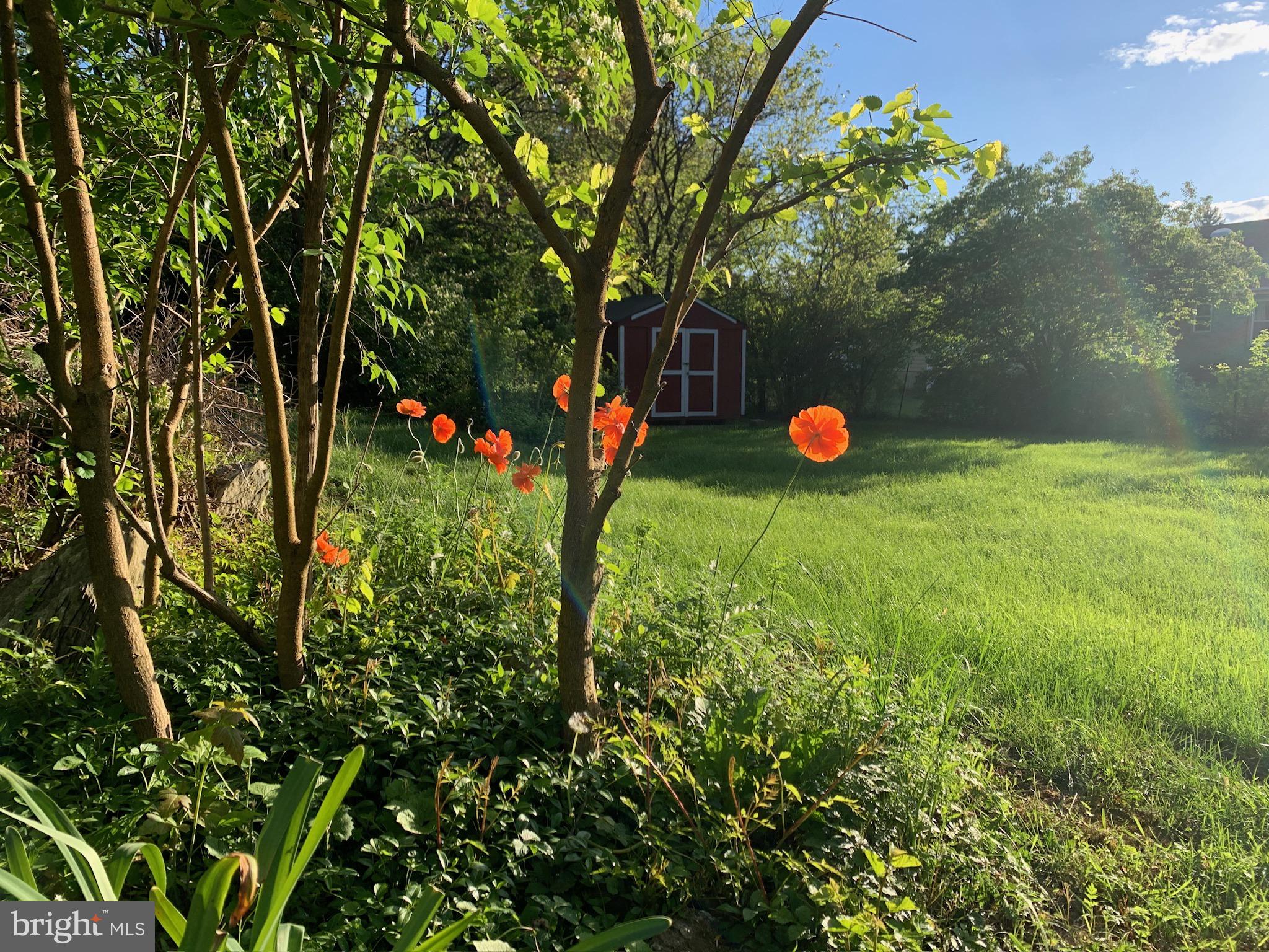 MT PLEASANT - Residential