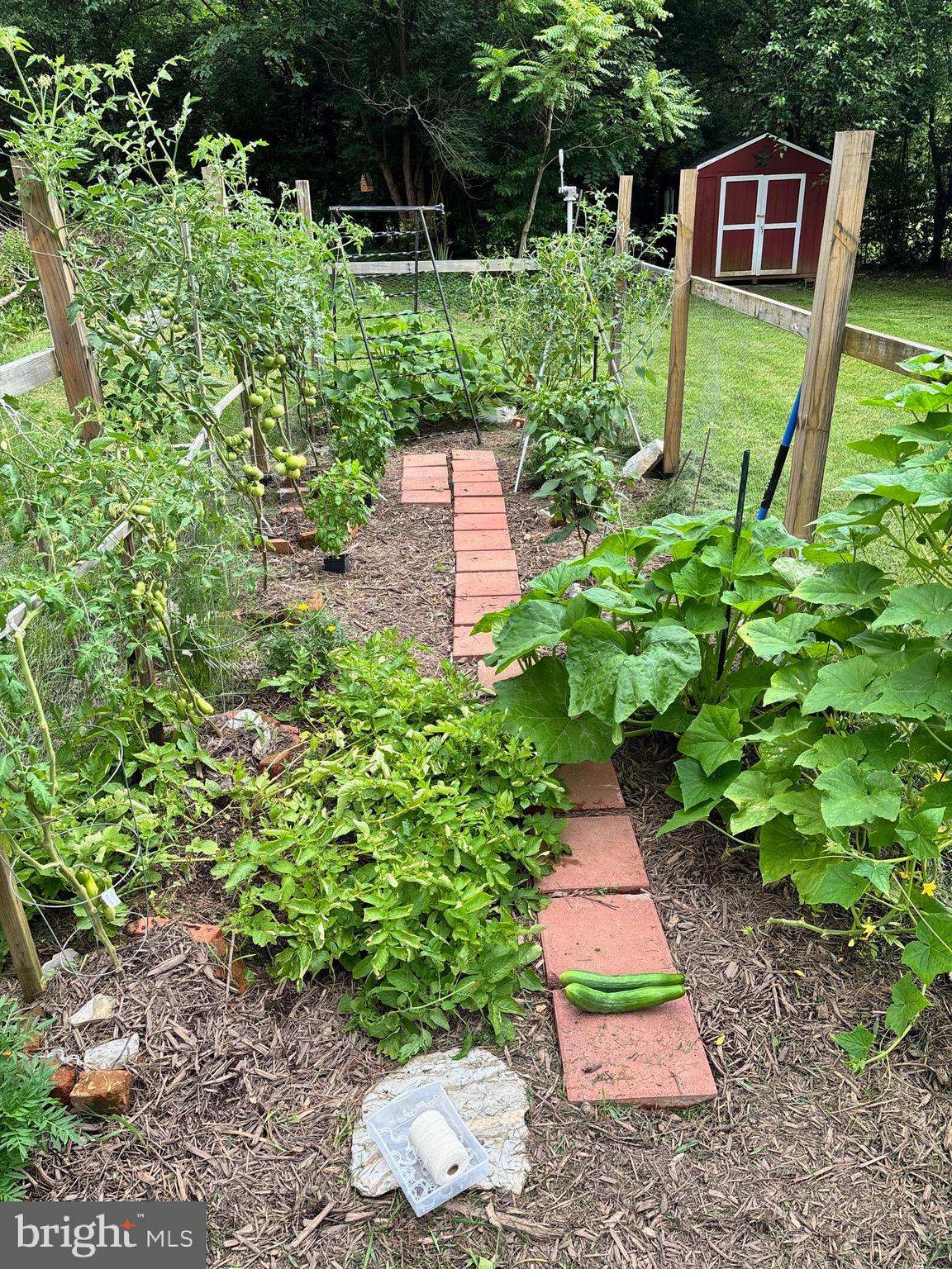 MT PLEASANT - Residential