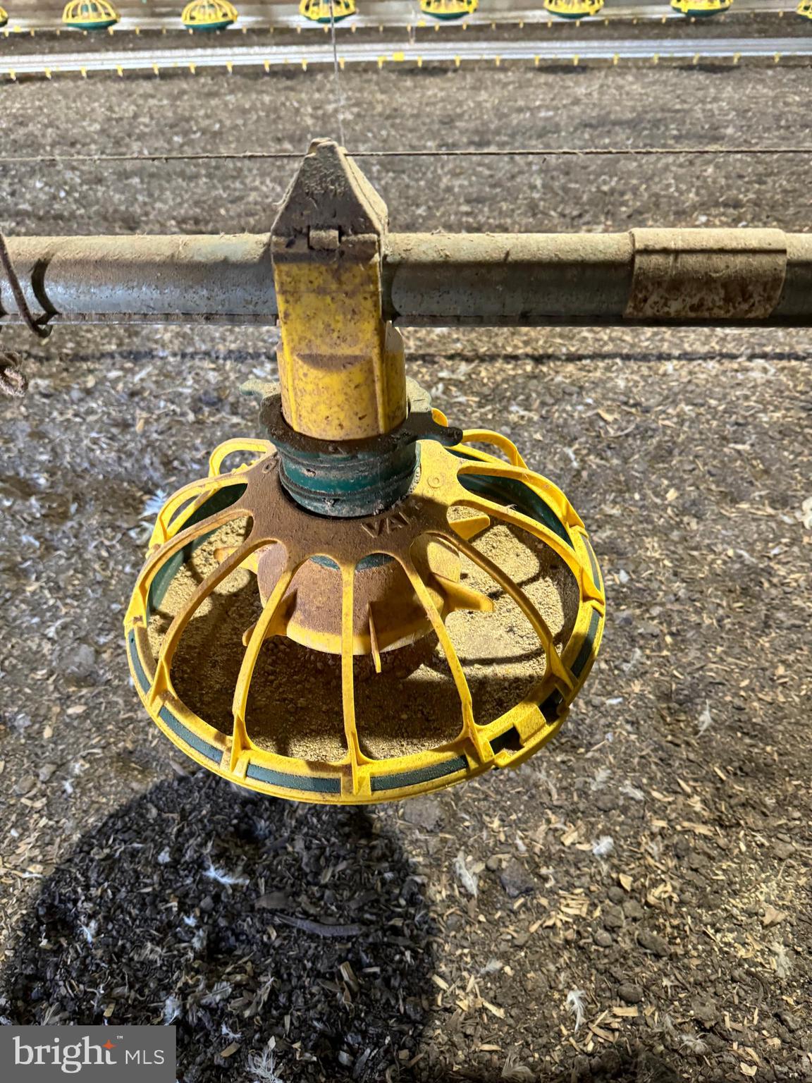 NONE AVAILABLE - Farm