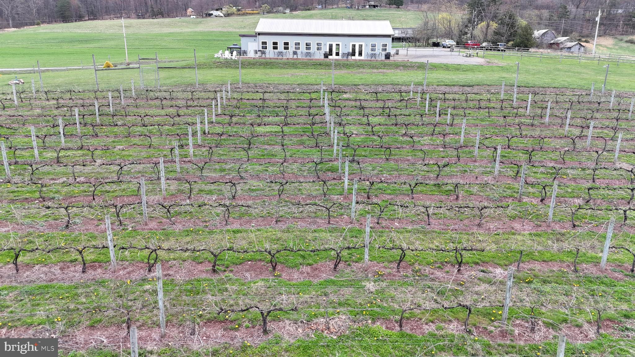 NONE AVAILABLE - Farm