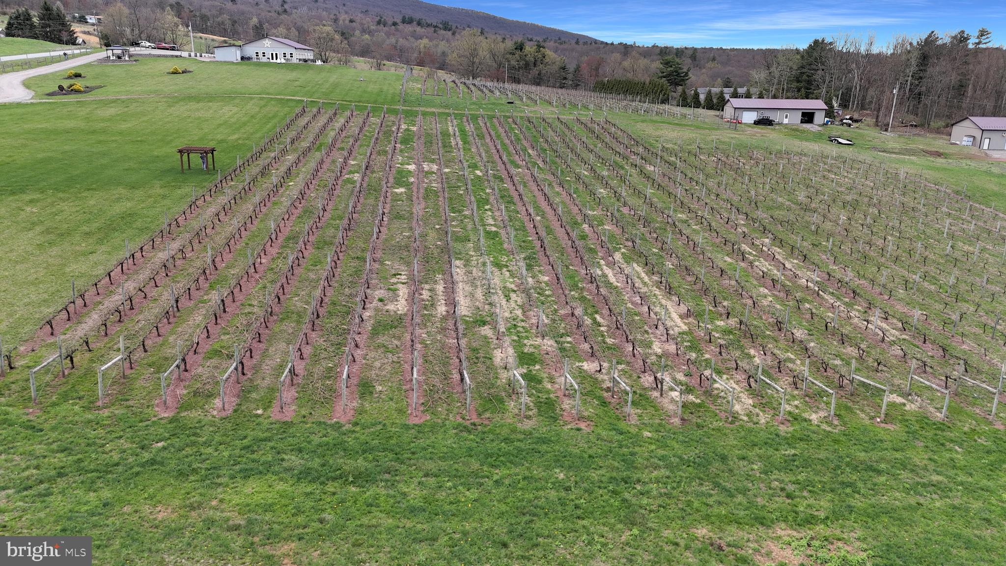 NONE AVAILABLE - Farm