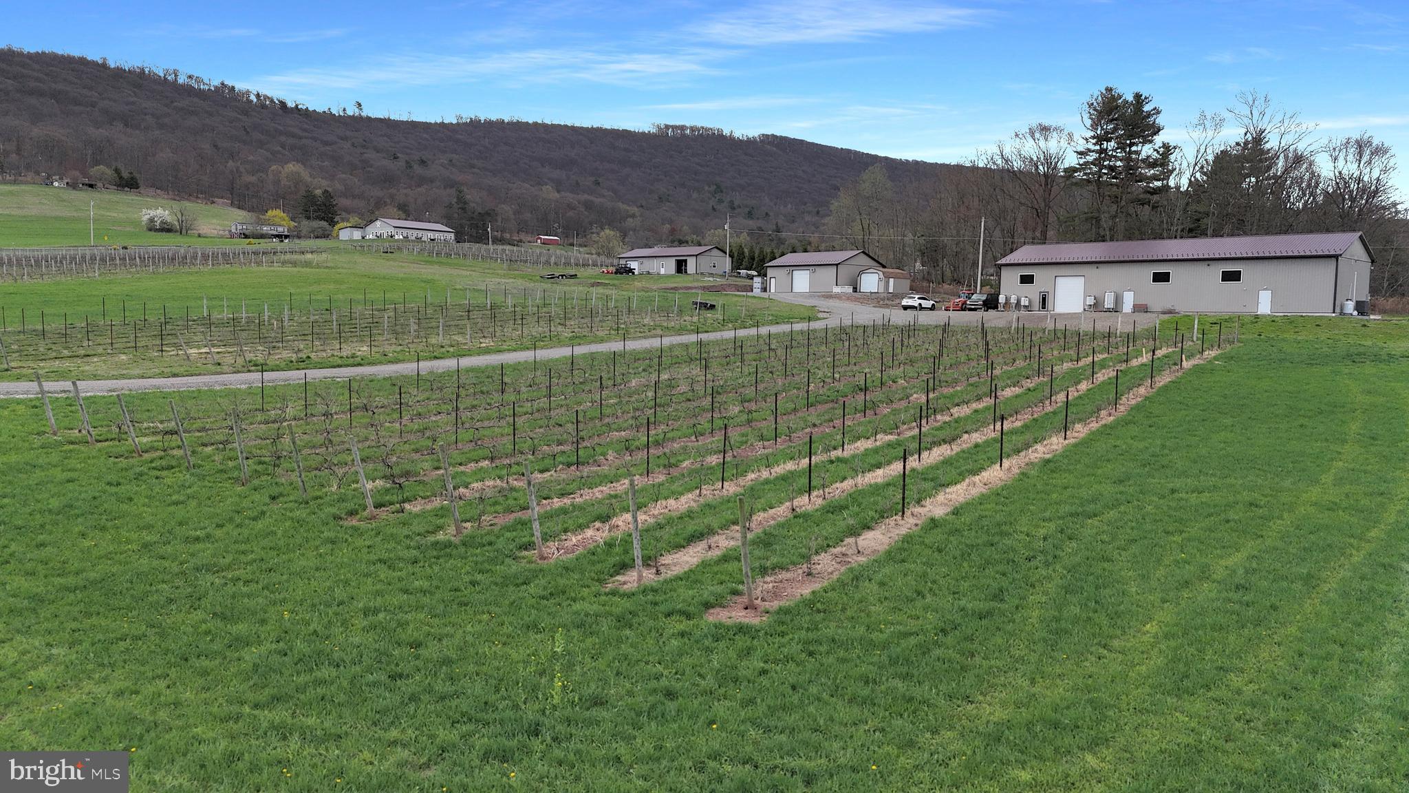 NONE AVAILABLE - Farm