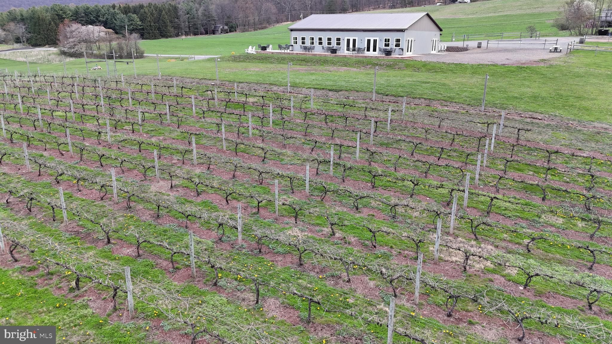 NONE AVAILABLE - Farm