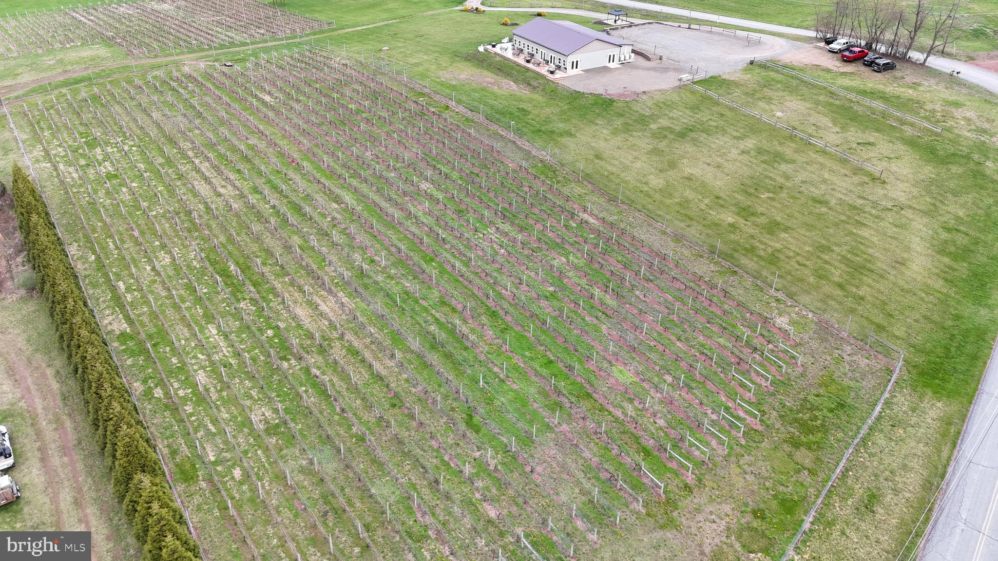 NONE AVAILABLE - Farm