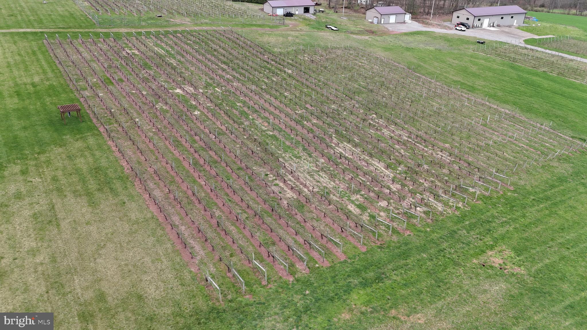 NONE AVAILABLE - Farm