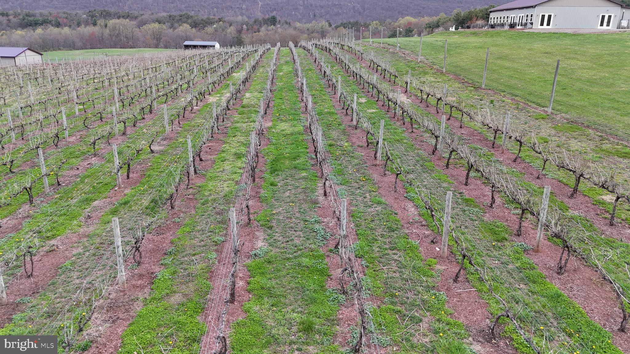 NONE AVAILABLE - Farm