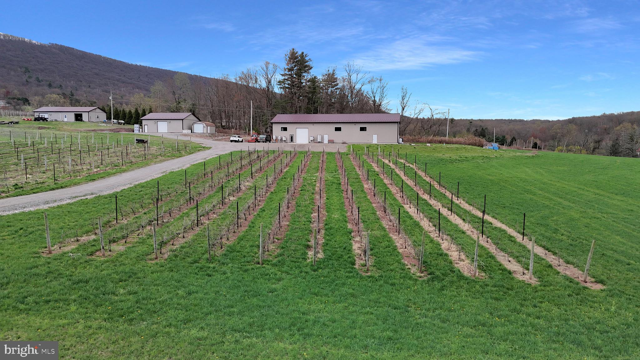 NONE AVAILABLE - Farm