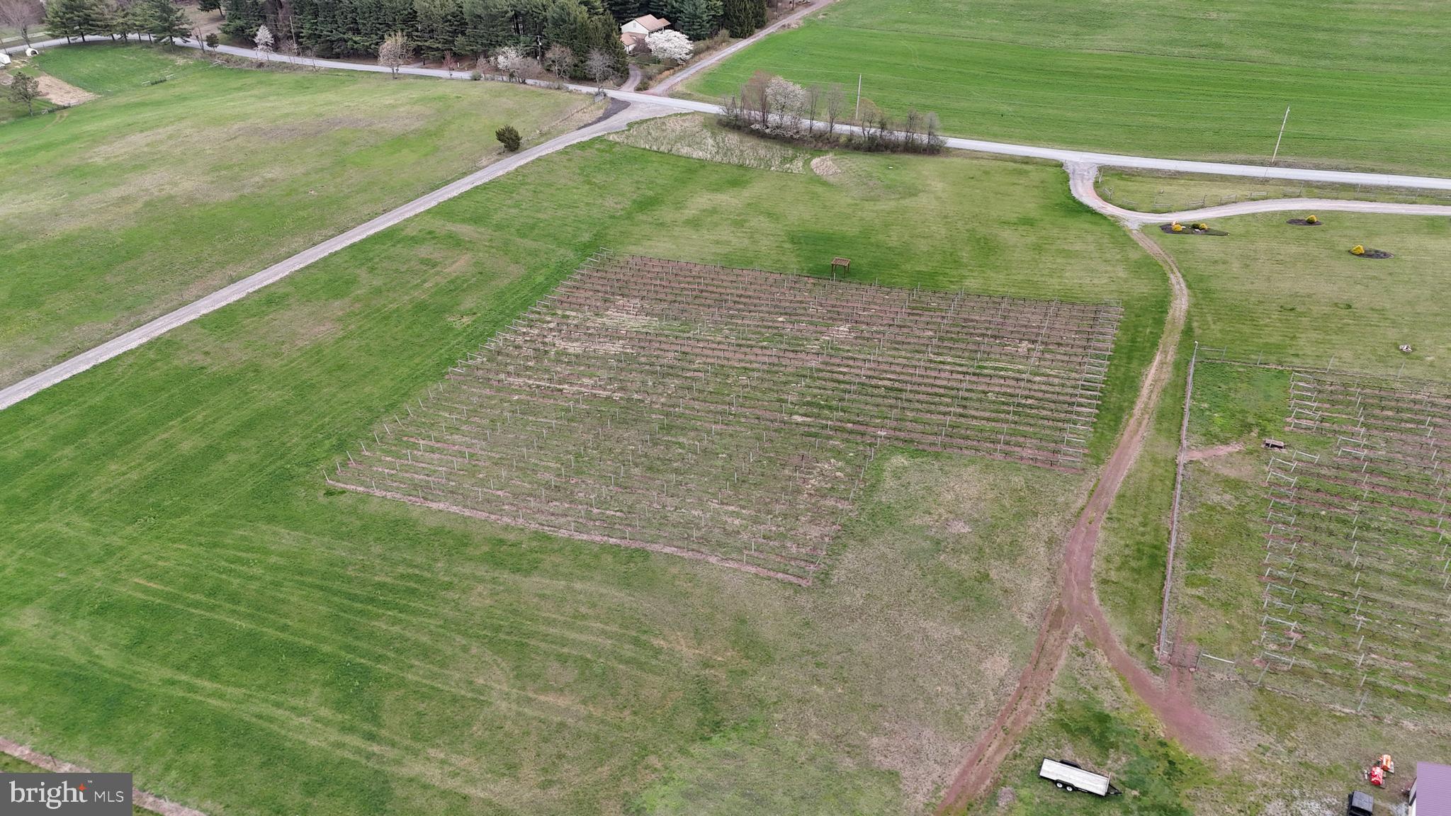 NONE AVAILABLE - Farm