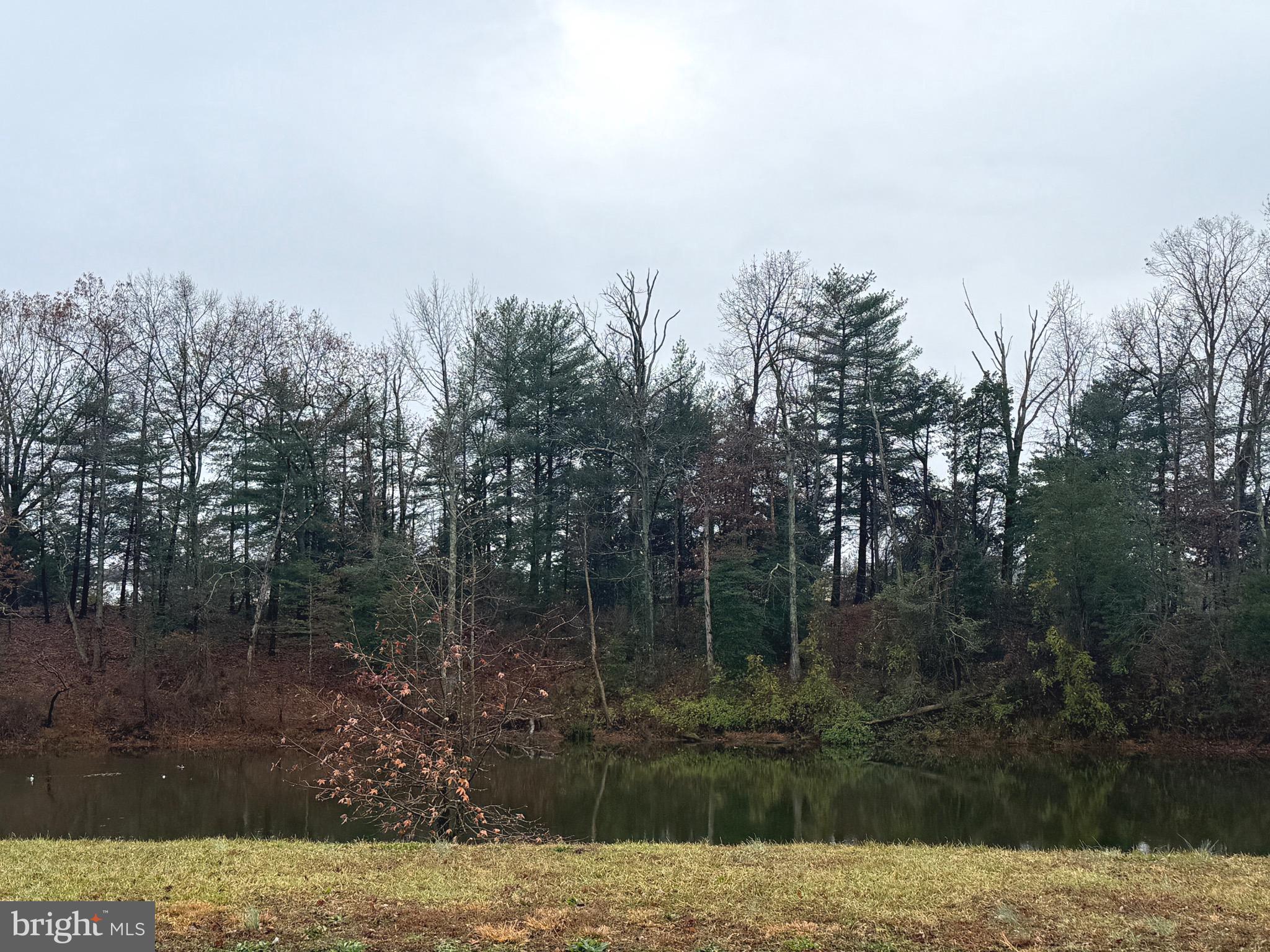 HAYDEN GREEN - Residential Lease