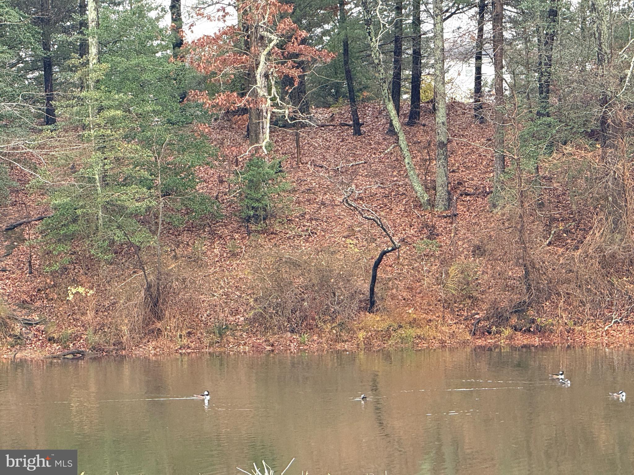 HAYDEN GREEN - Residential Lease