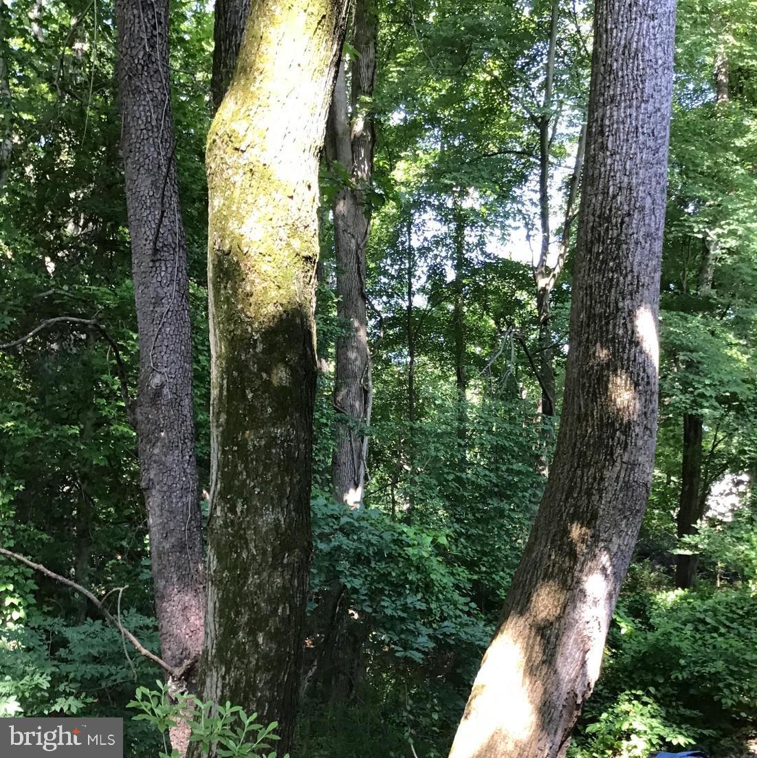 MEADOWLAND - Residential