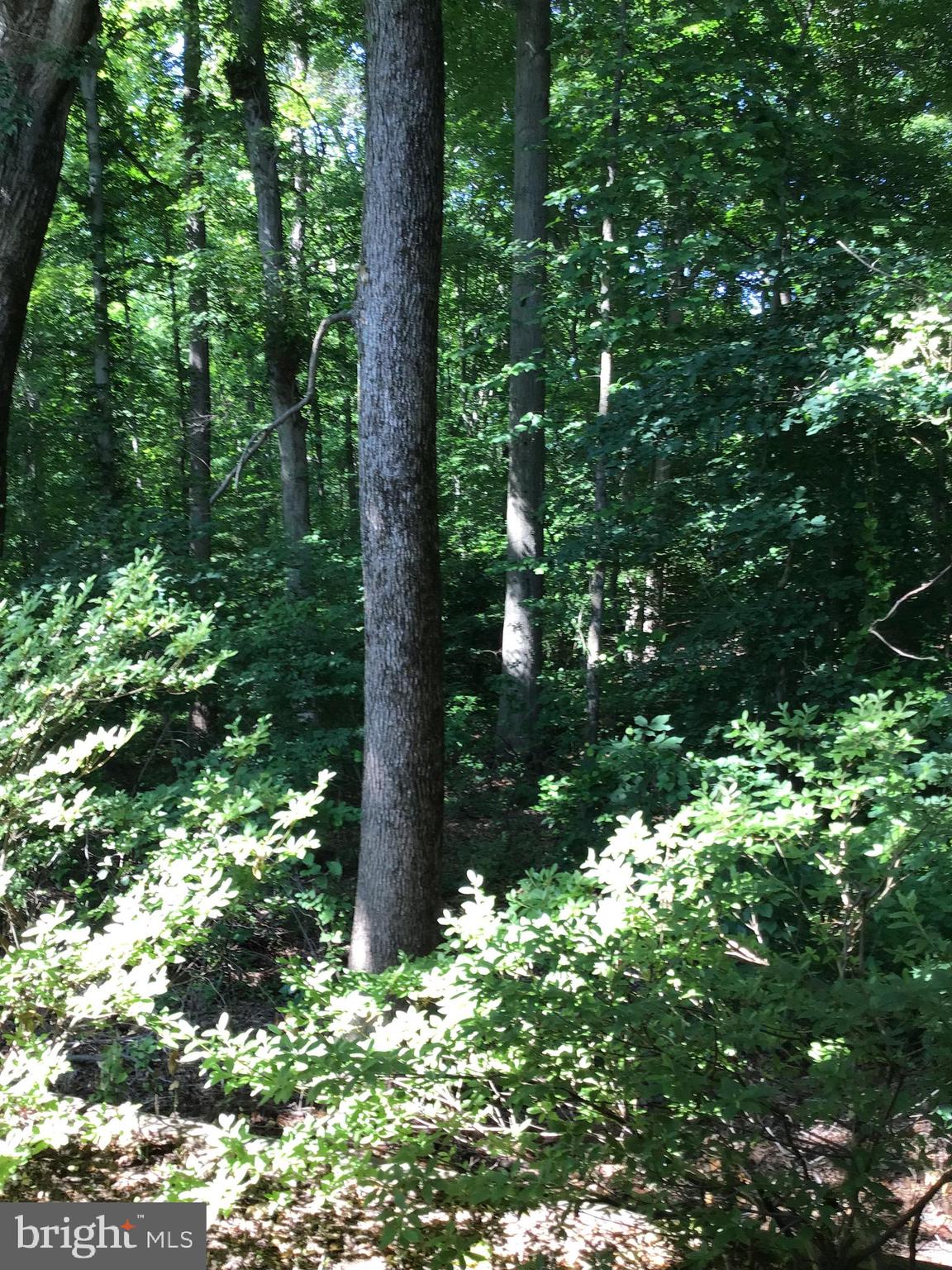 MEADOWLAND - Residential