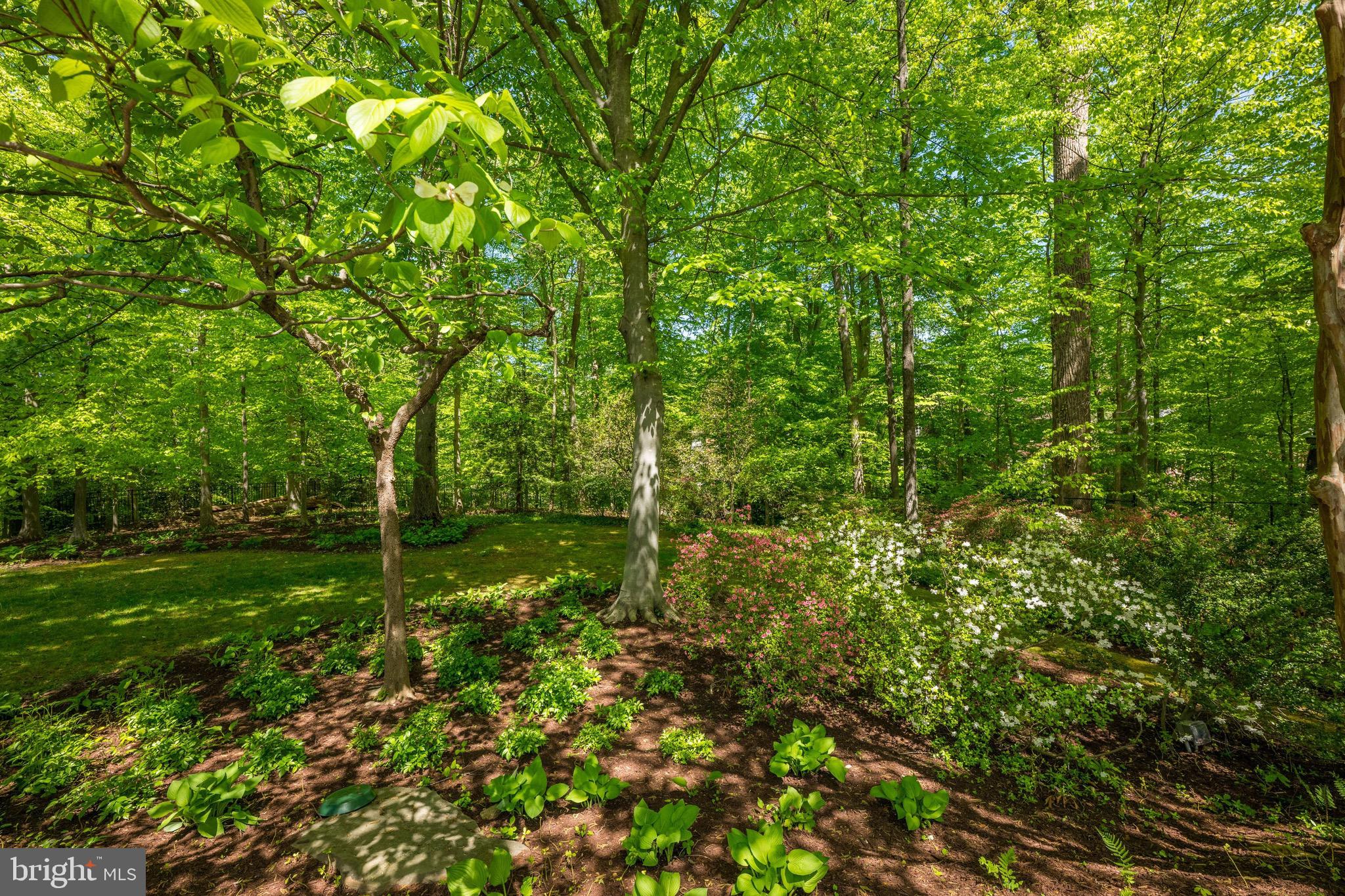 LONGWOOD - Residential