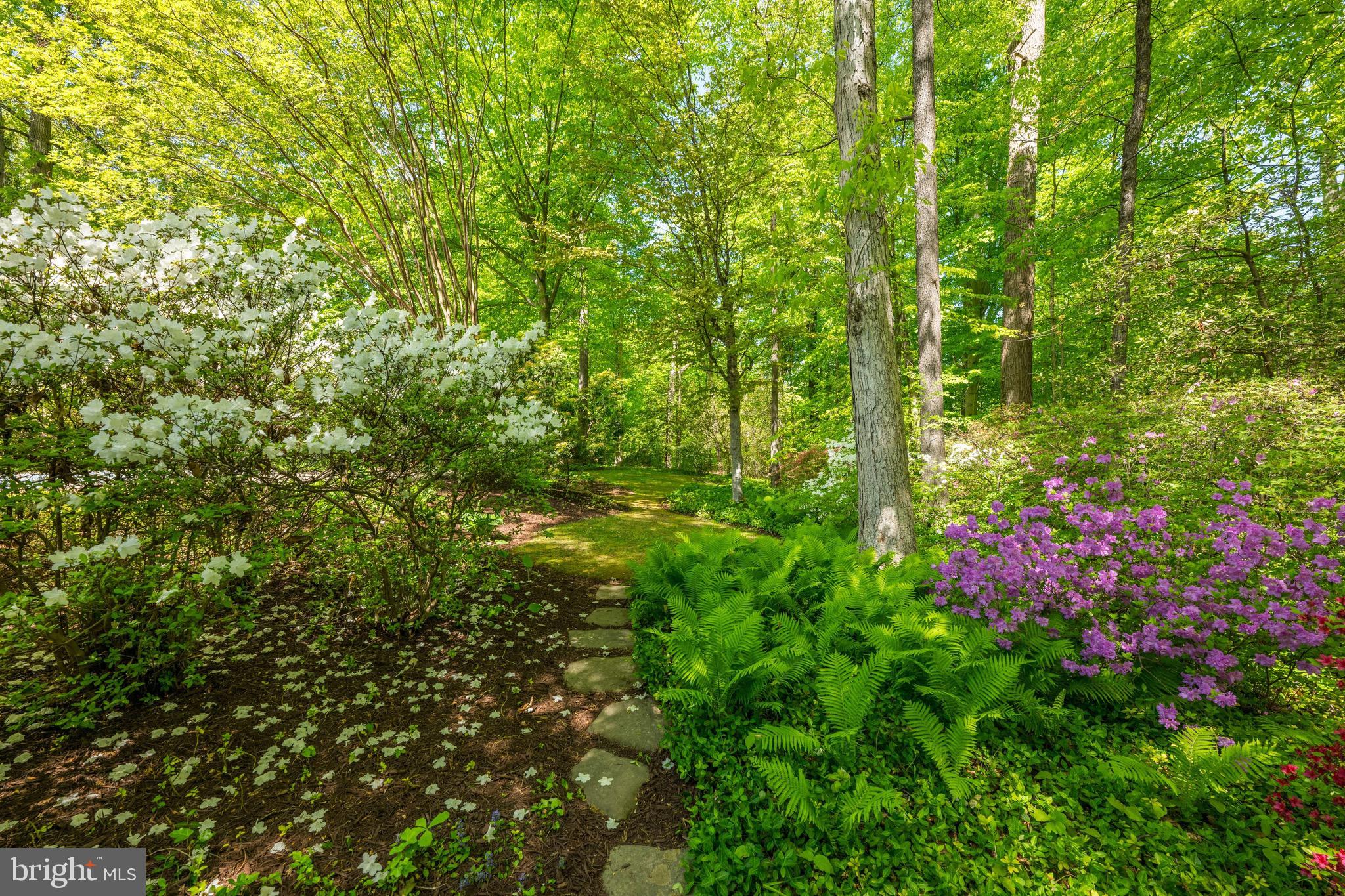 LONGWOOD - Residential