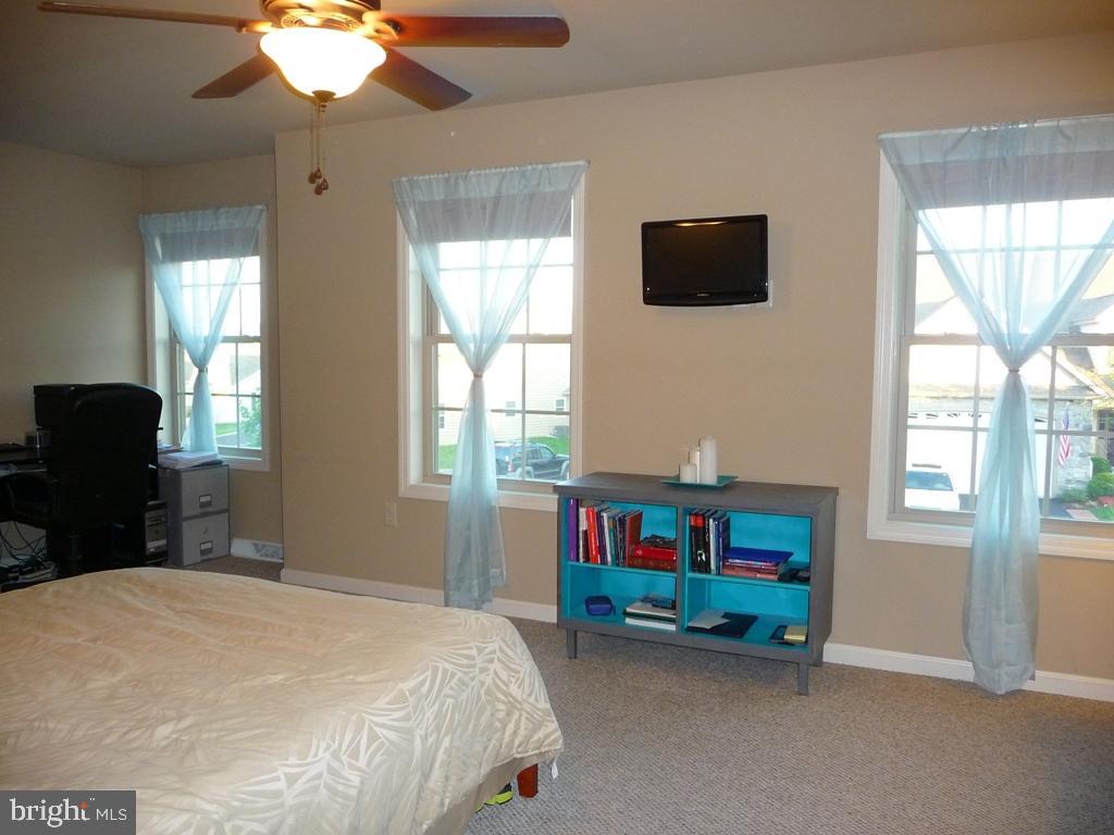 ELM TREE - Residential