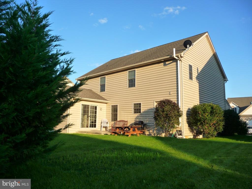 ELM TREE - Residential