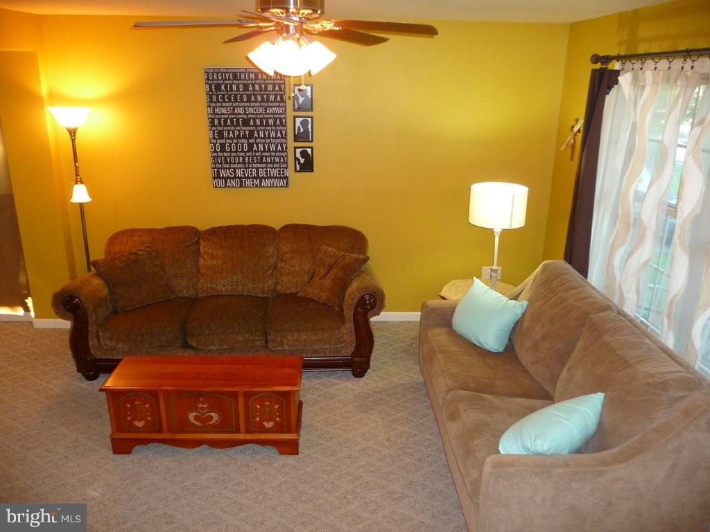 ELM TREE - Residential