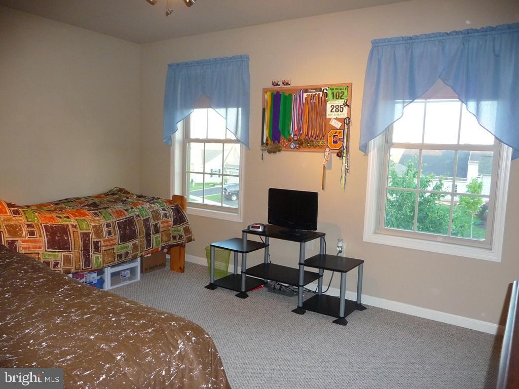 ELM TREE - Residential