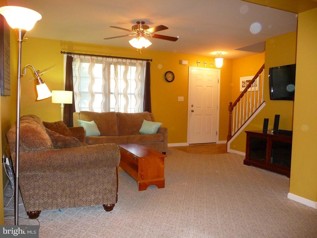 ELM TREE - Residential