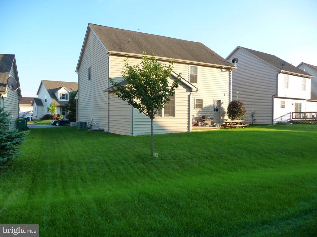 ELM TREE - Residential