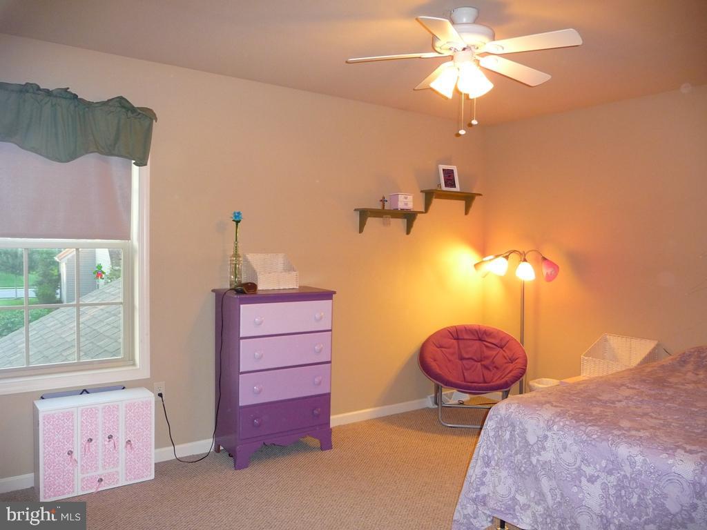 ELM TREE - Residential