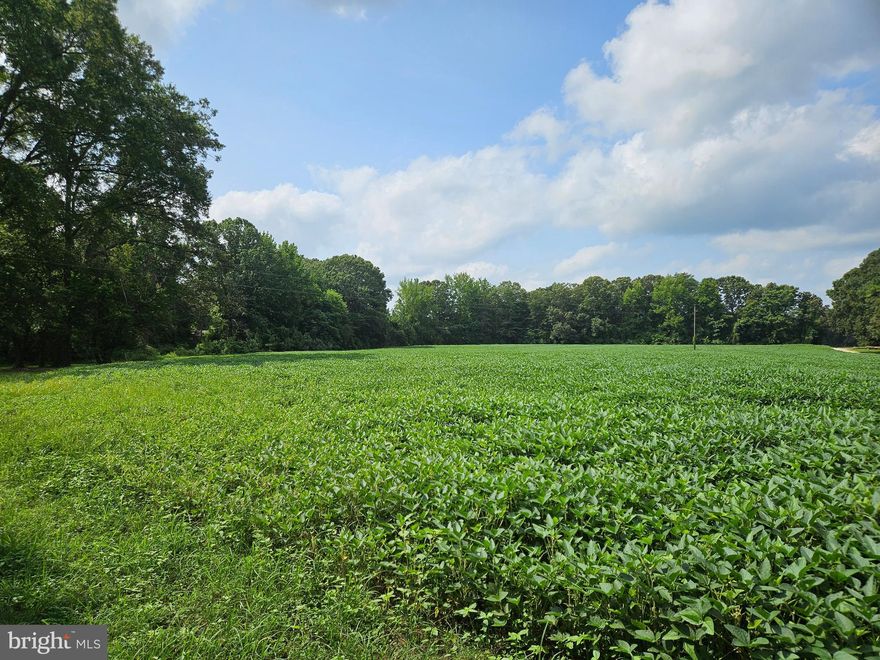 3.283 +/- open acres currently planted in soybeans. Subject to the farmer harvesting the current crop that is planted. Can be purchased along with 13336 Ladysmith Road. 13336 Ladysmith is on the market for $389,900. Can also be purchased separately. This parcel sits directly behind 13336.  There is a deeded easement to this parcel. Please do not drive on the fields to avoid crop damage.