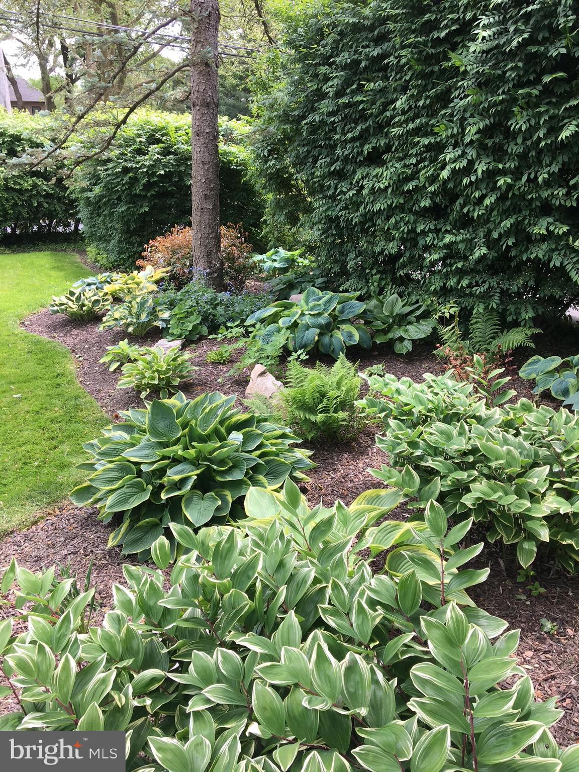 WYNCOTE - Residential