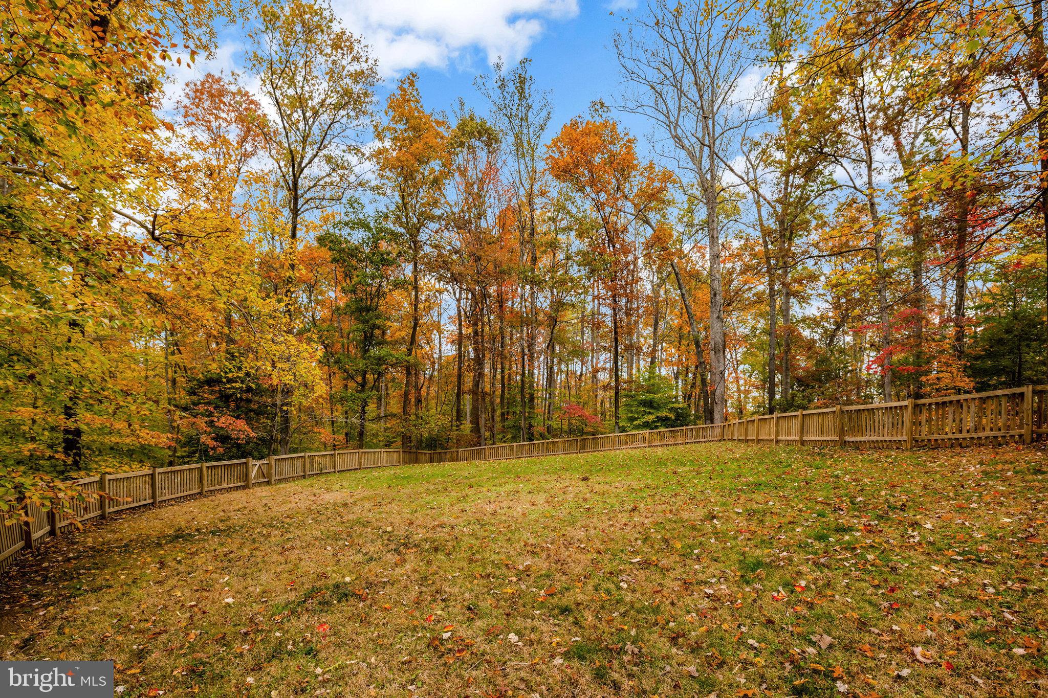 CHAPEL TRAILS - Residential