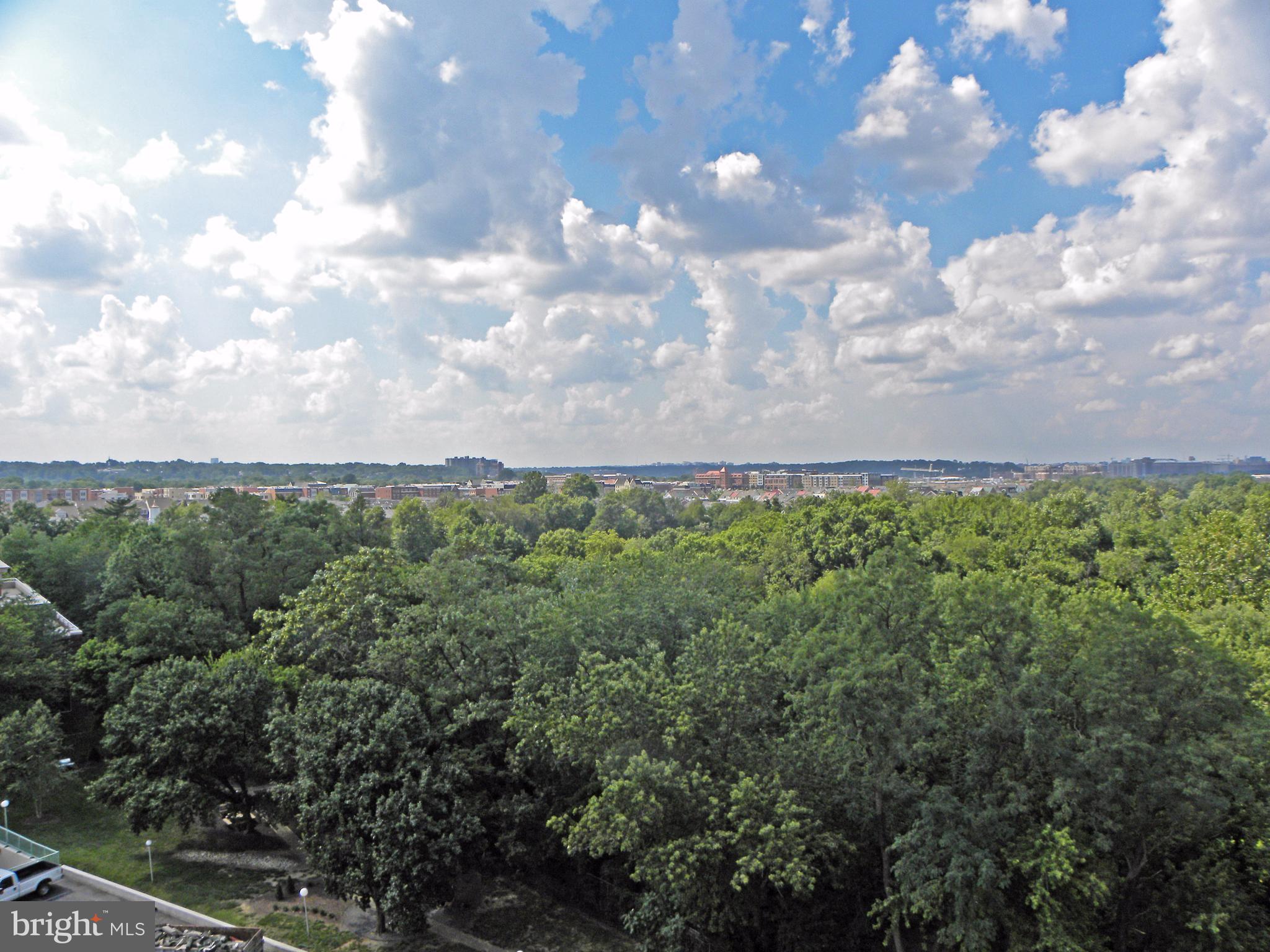 MARINA TOWERS - Residential