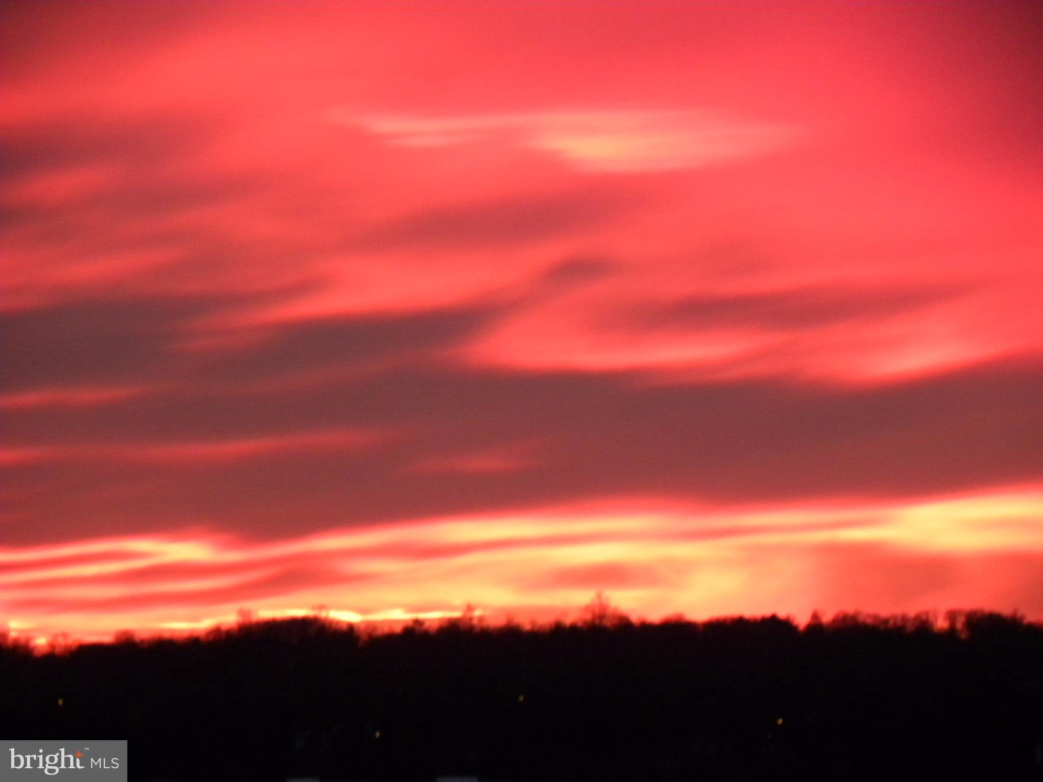 MARINA TOWERS - Residential