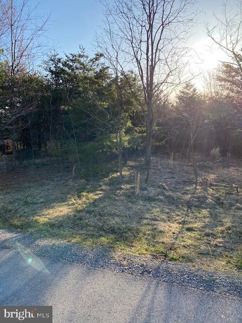 CACAPON SOUTH - Land