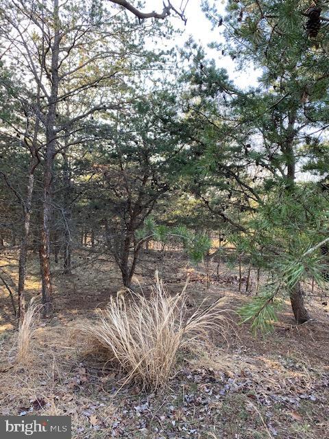 CACAPON SOUTH - Land