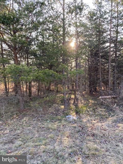 CACAPON SOUTH - Land