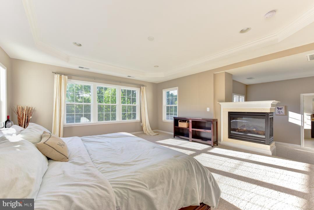 THE REGENTS AT LAKE MANASSAS - Residential