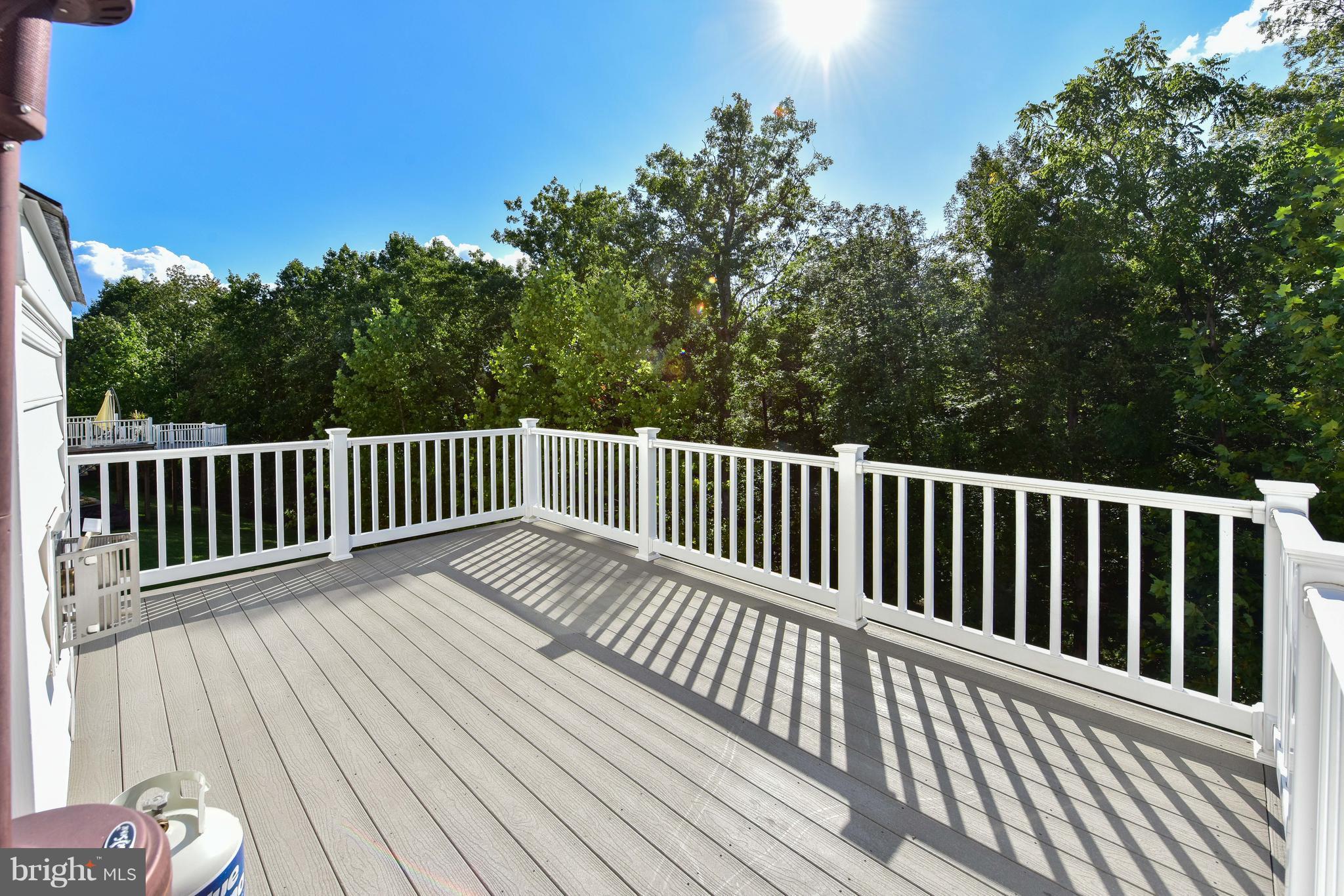 THE REGENTS AT LAKE MANASSAS - Residential