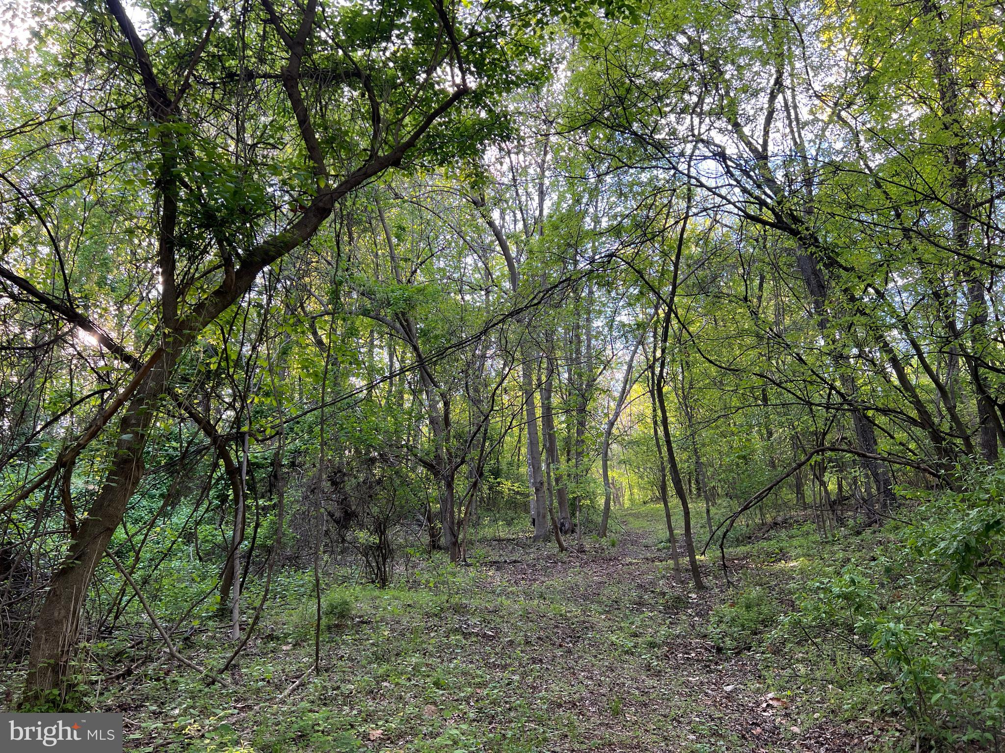 NONE AVAILABLE - Commercial Sale