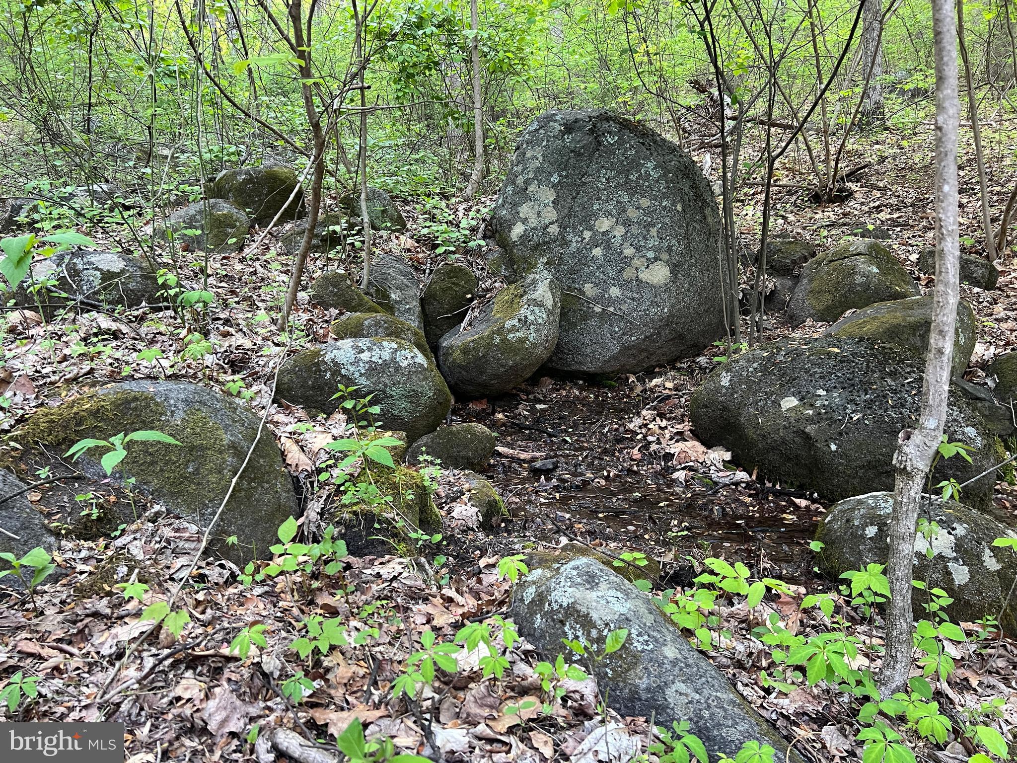 NONE AVAILABLE - Commercial Sale