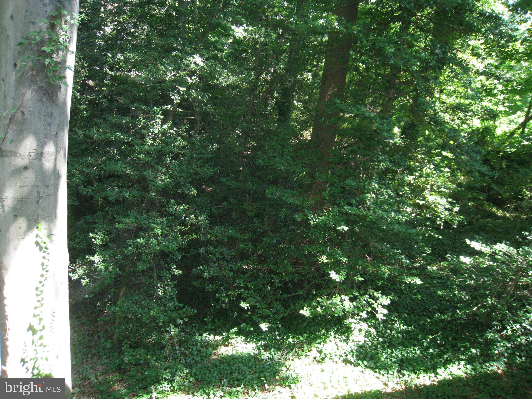 HERALD HARBOR - Residential