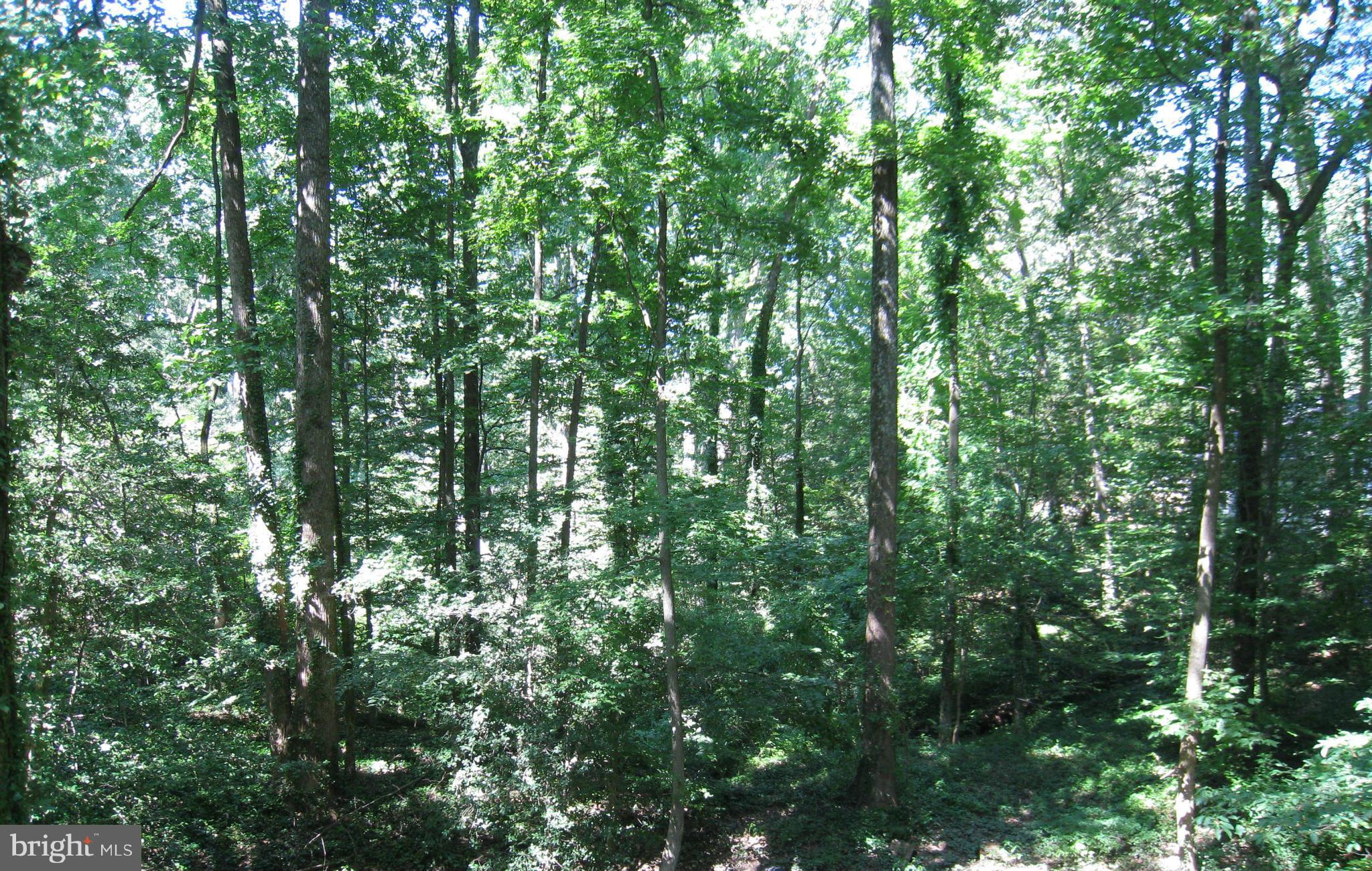 HERALD HARBOR - Residential