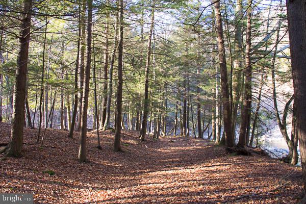 NEAR EAGLES MERE - Commercial Sale